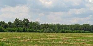 Origgio campagna 300x150