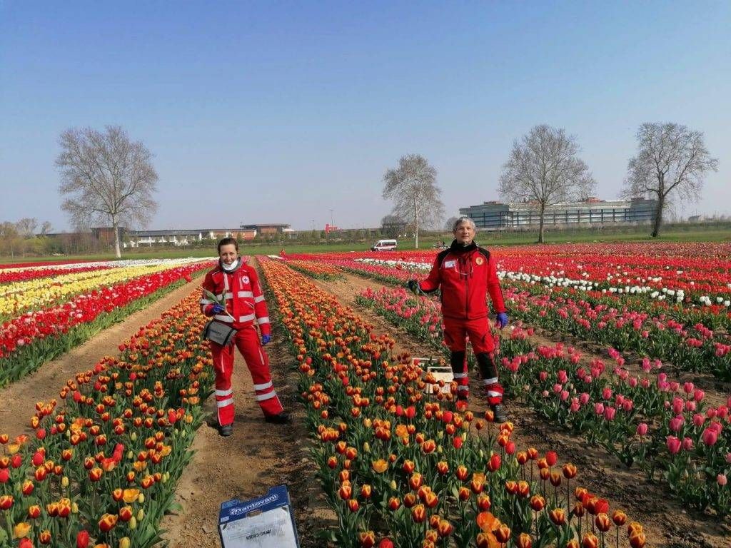 Da Arese a Saronno, i volontari della Croce Rossa portano i tulipani di Edwin in casa di cura tulipani arese 2 1 1024x768