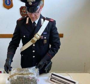 Saronno marijuana