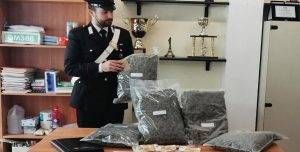 Bollate droga mascherina Smart 