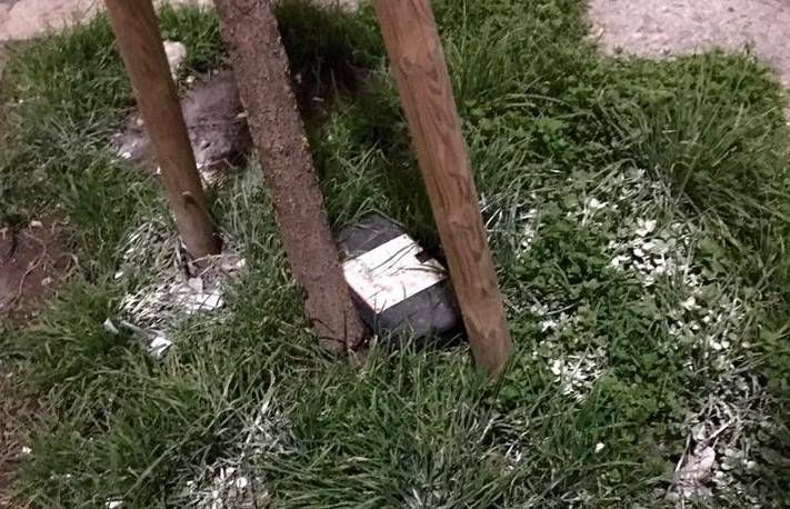 A Gerenzano torna il killer dei cani, Liuba muore avvelenata veleno cani