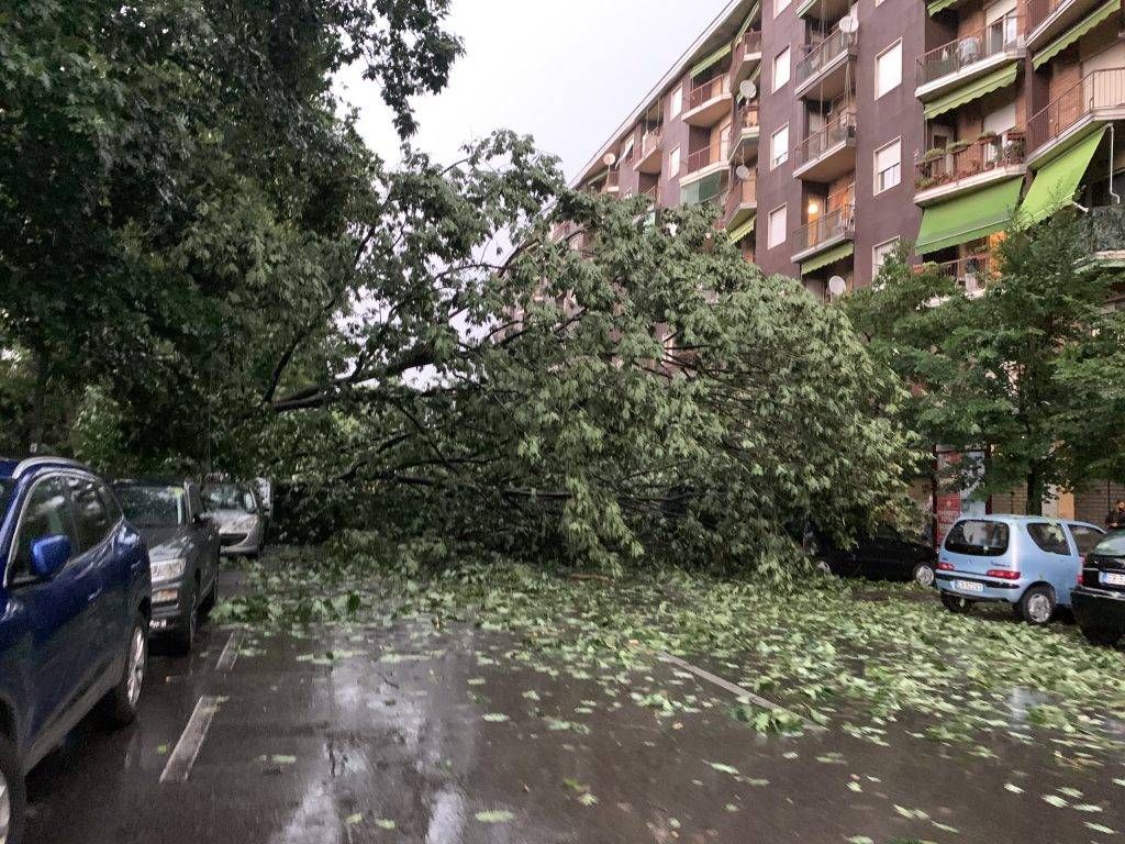 FBBC96B2 5D2F 466D 9DFB A959451566D7 1024x768