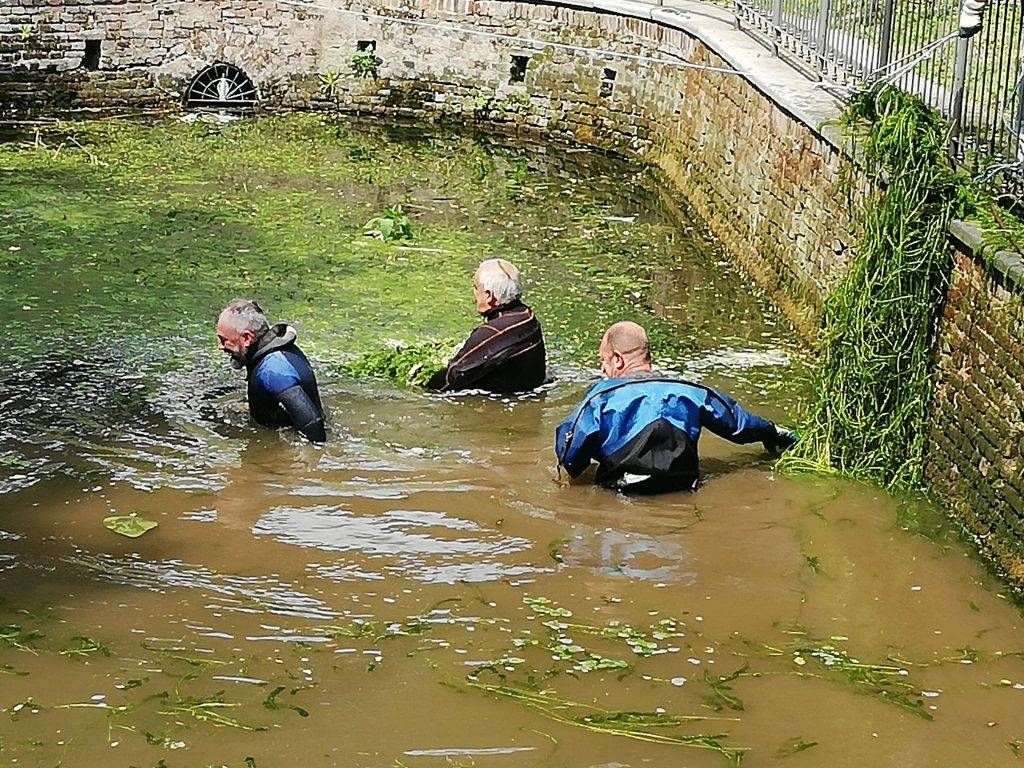 WhatsApp Image 2020 05 30 at 16.58.16 1 1024x768