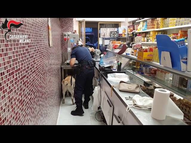 Spaccio in macelleria e vedetta in monopattino, 10 arresti tra Monza e Sesto | VIDEO sddefault 3