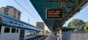 2C5667B7 3E86 4897 BA9C 5C32E0D0BAF3 300x138