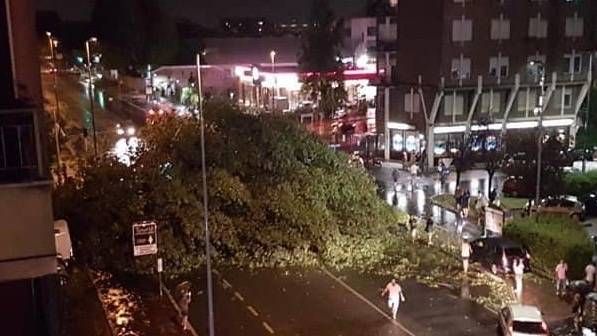 Nubifragio su Milano, a Baranzate cade grosso albero in Varesina: auto schiacciate albero caduto baranzate