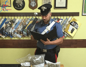 Mozzate Cislago droga 