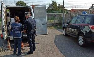 Novate scarico metalli 