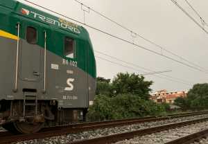 treno albero varese trenord 300x208