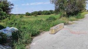 via vivaldi 1 300x169