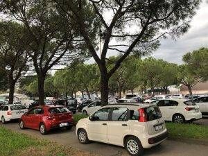 Limbiate tamponi code