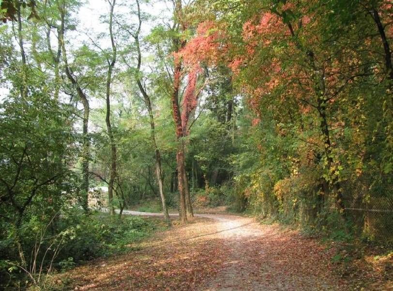 Quintali di rifiuti abbandonati nelle Groane, rintracciato il responsabile Groane 3