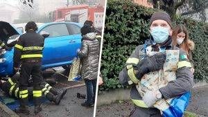 gatto paderno 300x169