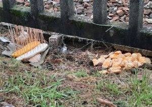 generica 2020 1196981.610x431 300x212