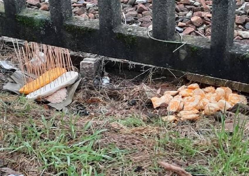 Saronno, trappole avvelenate per i cani in periferia: interviene Codacons Varese generica 2020 1196981.610x431