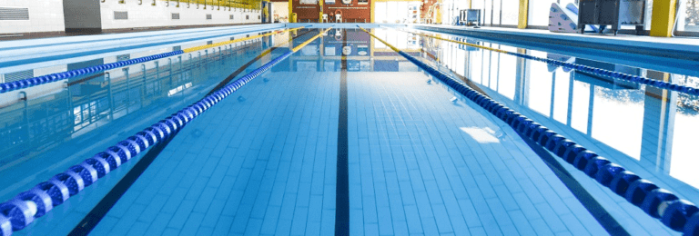 in sport e1692952954764 768x260