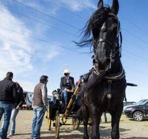 Inkedfiera cavalli LI 300x281