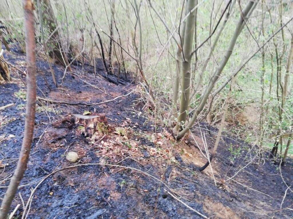 FB IMG 1617730943950 1024x768