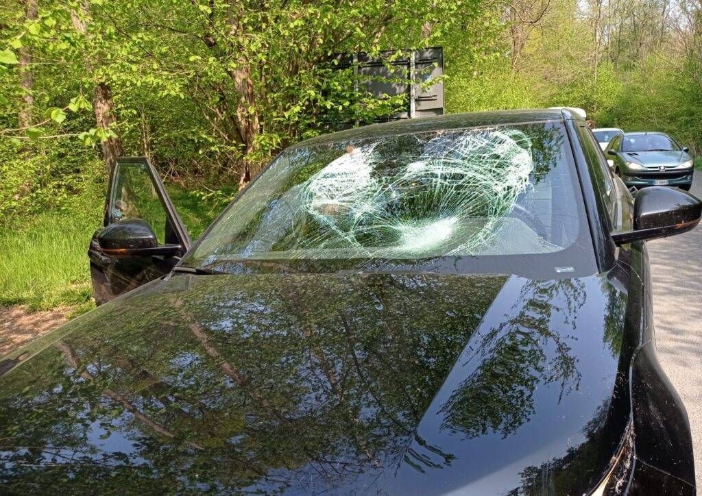 WhatsApp Image 2021 04 24 at 11.37.25 1024x724