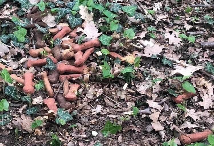 Caronno, allarme crocchette per cani nel parco: “Qualcuno vuole spaventarci?” crocchette 1
