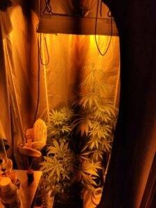 WhatsApp Image 2021 05 05 at 15.30.01 225x300