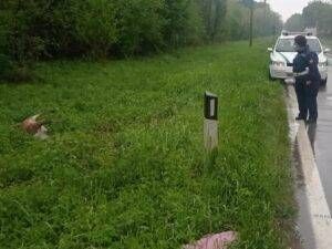 WhatsApp Image 2021 05 11 at 16.44.01 300x225