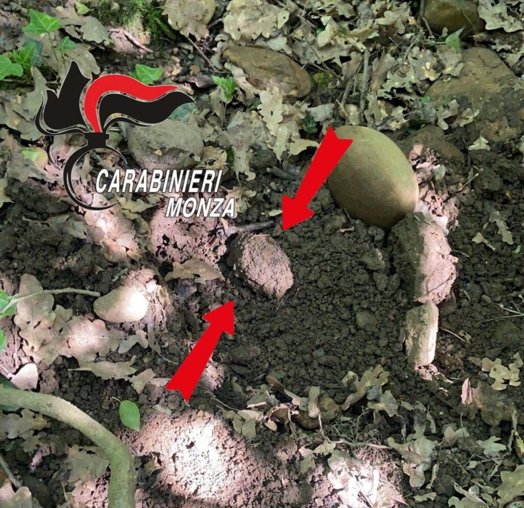 WhatsApp Image 2021 05 19 at 16.20.06 1024x994