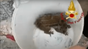 Screenshot 4 300x169