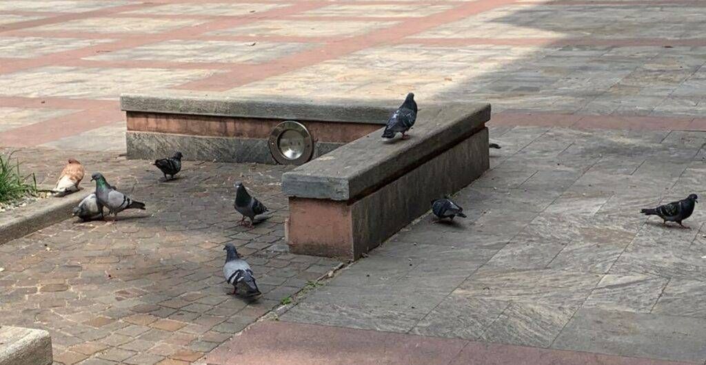 WhatsApp Image 2021 06 16 at 16.25.54 22 1024x530