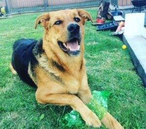 220279240 363680238461973 4207808117091461151 n e1626781178827 300x265