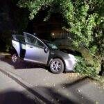 Paderno Dugnano auto albero