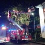 lentate vigili del fuoco