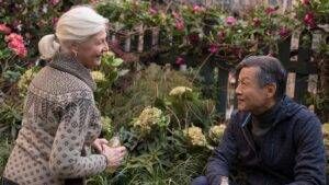 lT5kYKJzoSzDCZXafYVchfElhYe 300x169