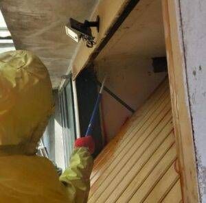 IMG 20210808 WA0009 e1628440802403 300x296