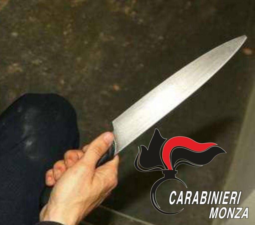 desio condomini accoltellata