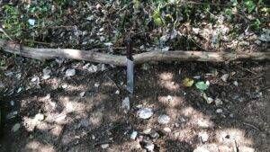 IMG 20210907 WA0006 300x169