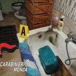 limbiate fuoco moglie