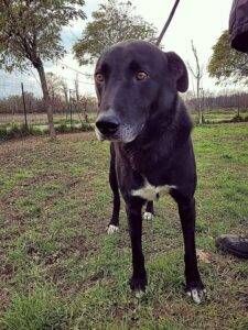 WhatsApp Image 2021 12 11 at 08.58.48 1 225x300