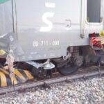 erba passaggio livello