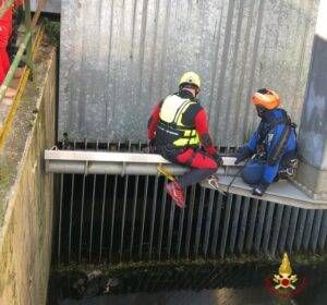 WhatsApp Image 2022 01 17 at 11.58.06 e1642425756481 300x280