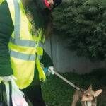 Covid Bollate Angeli sei zampe