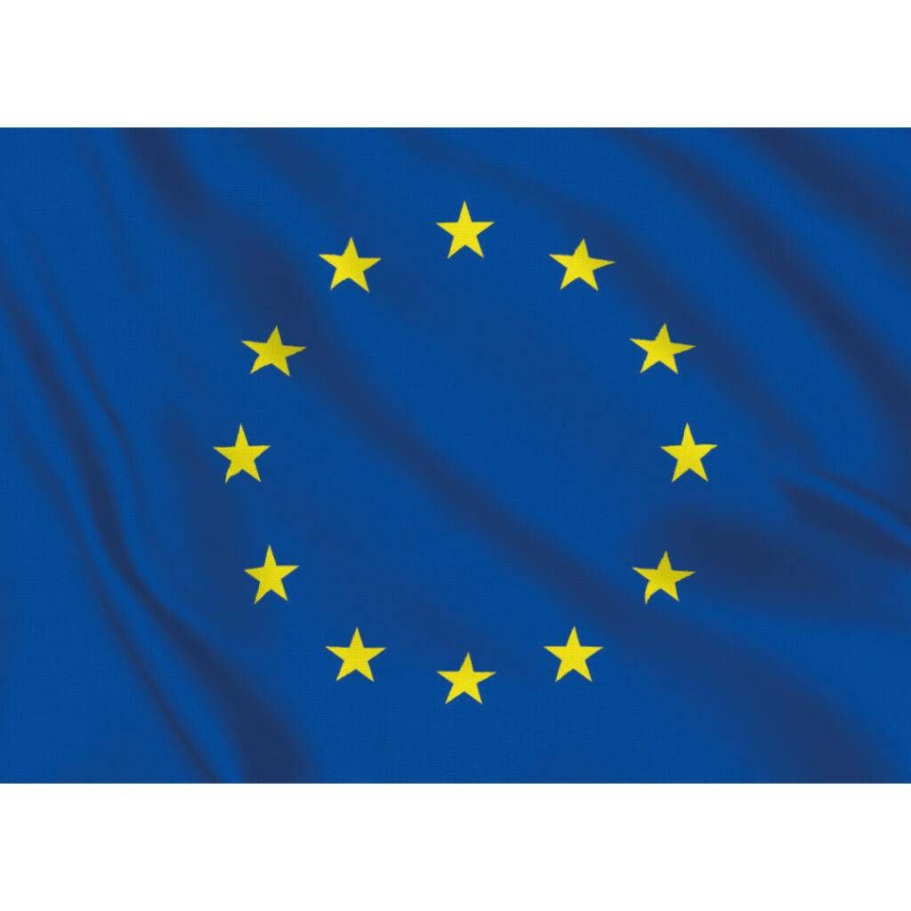 Unione Europea bandi laureati