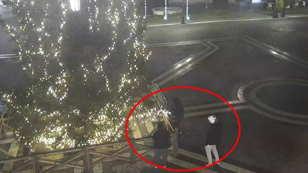 vandali albero natale saronno 1024x576