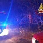 incendio parco solaro notte