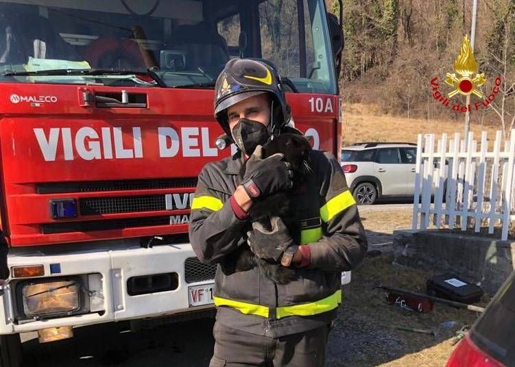 I Vigili del fuoco rompono un muro per liberare un gatto nella canna fumaria | FOTO VVfGatto4