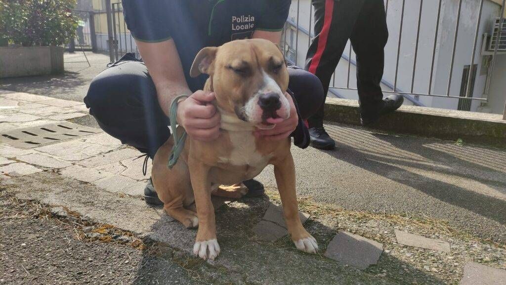 WhatsApp Image 2022 02 19 at 12.39.16 1024x577