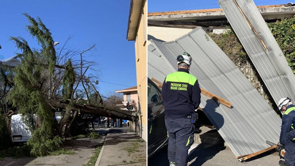 Paderno, danni per il vento: pino precipita sulla cabina Enel, tetto scoperchiato al centro sportivo paderno vento 1024x576