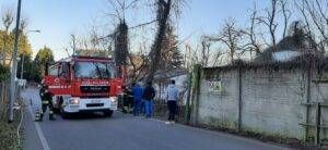 senago vento 300x138