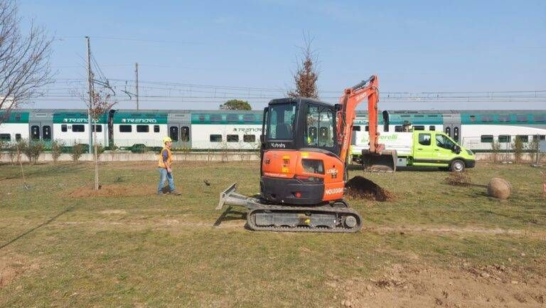 cormano alberi trenord 768x433