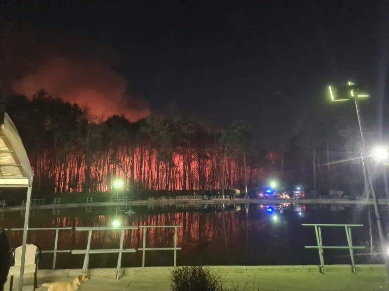 Incendio tra Cogliate, Misinto e Barlassina: brucia il Parco delle Groane vicino al laghetto incendio groane laghetto